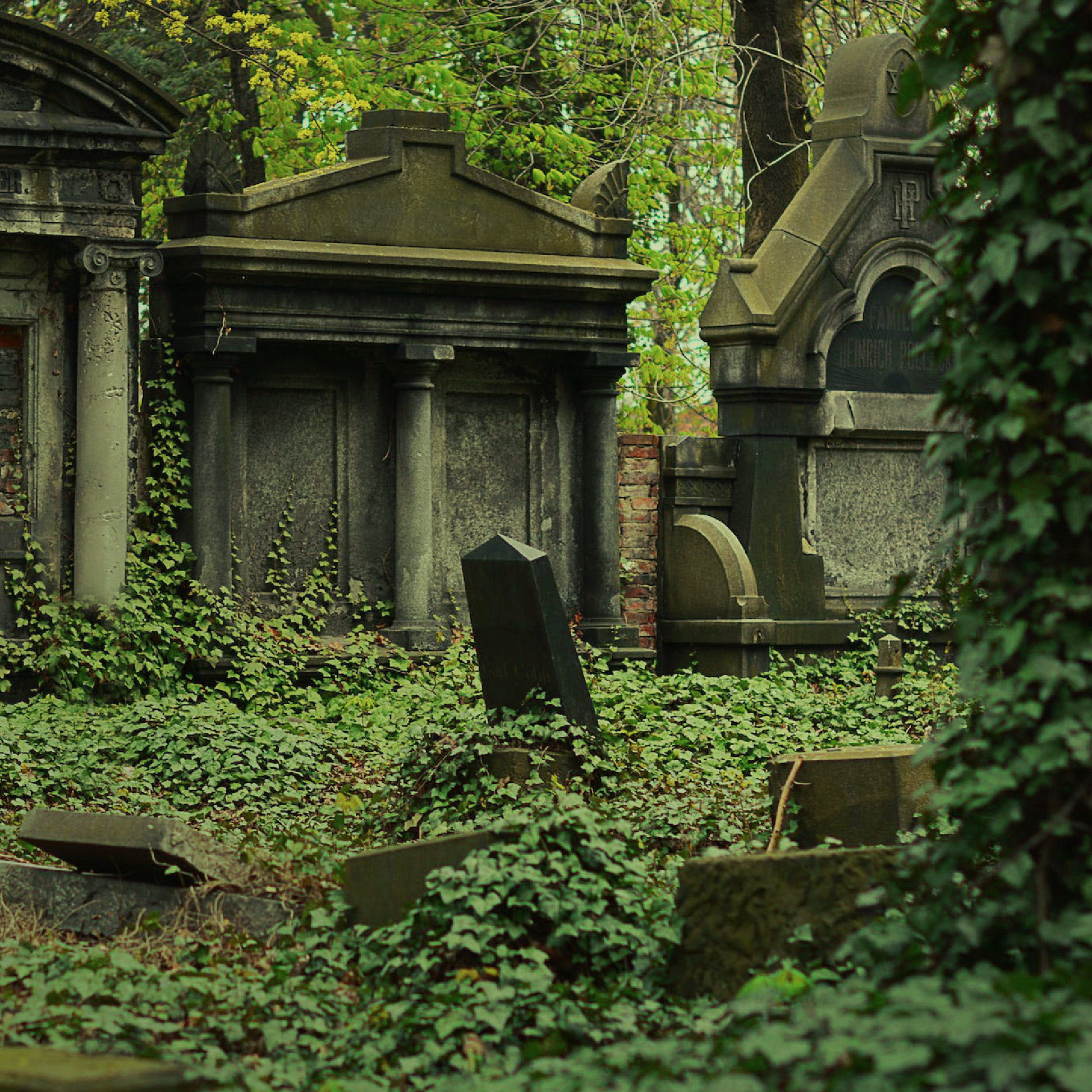 Crypt Moss loamy soil, wet stone, cemetery scented wax melts and candles.