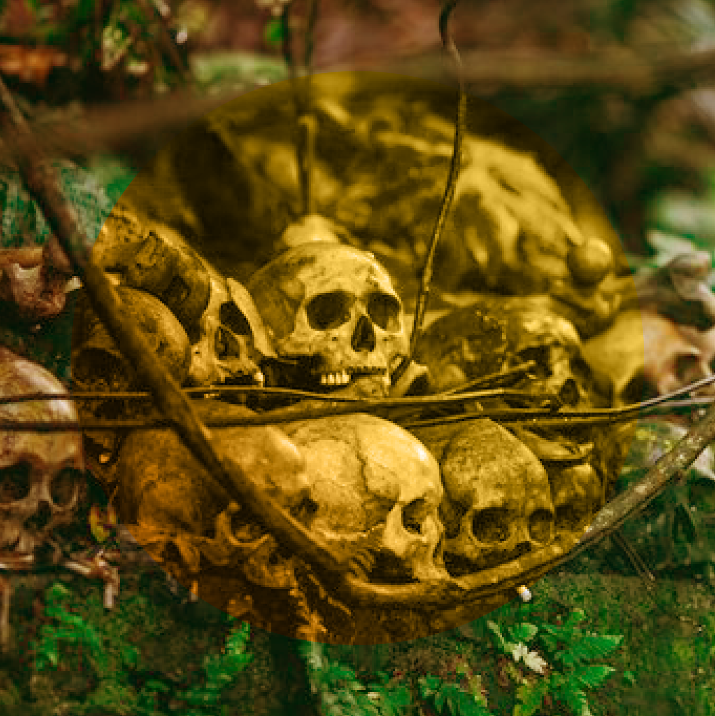 Golden Skull coconut candle. Scent of warm sandalwood, coconut, vanilla and tonka.