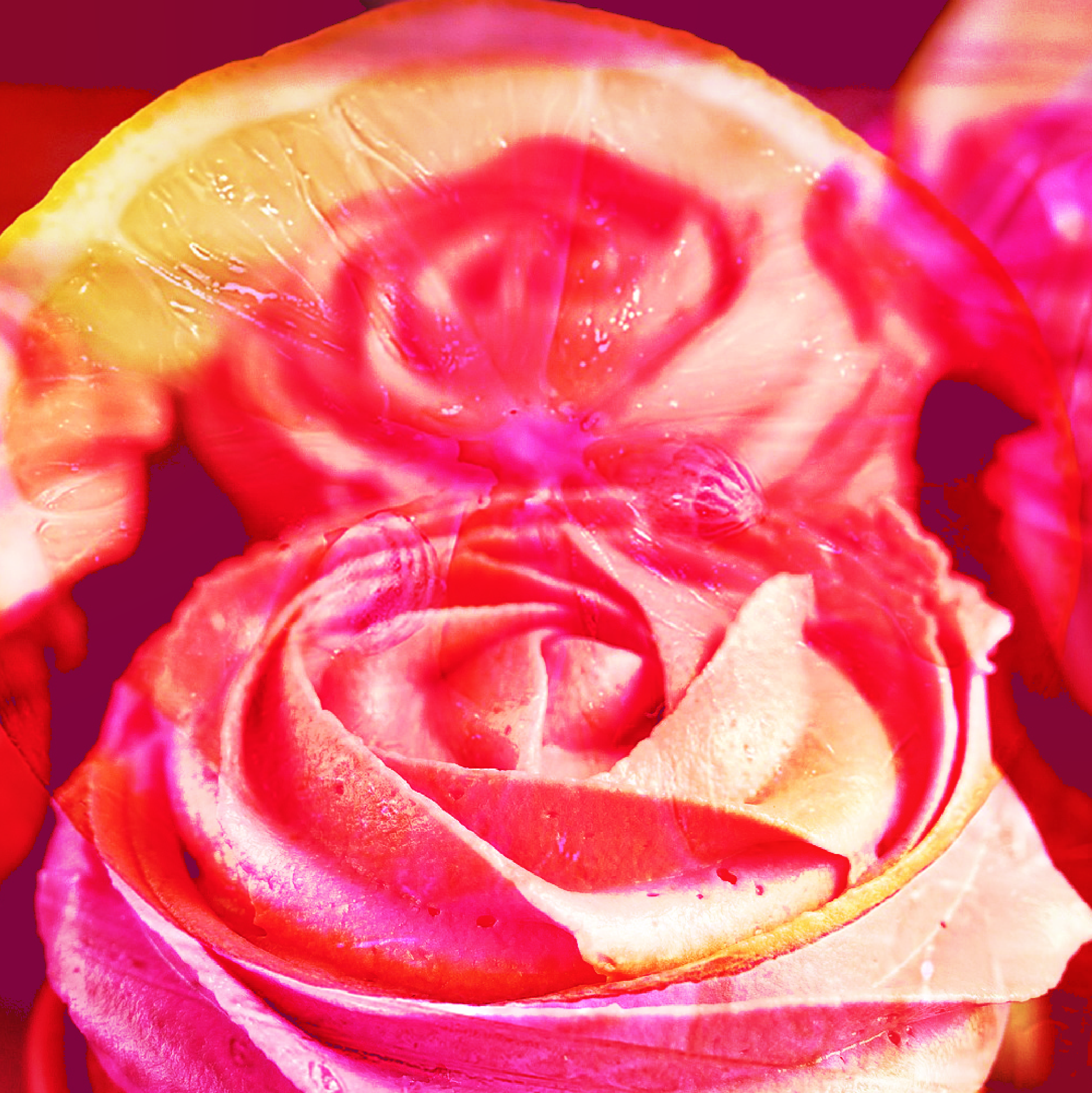 Rose Tarts and Lemonade sugared lemon and rose cake scented wax melts.