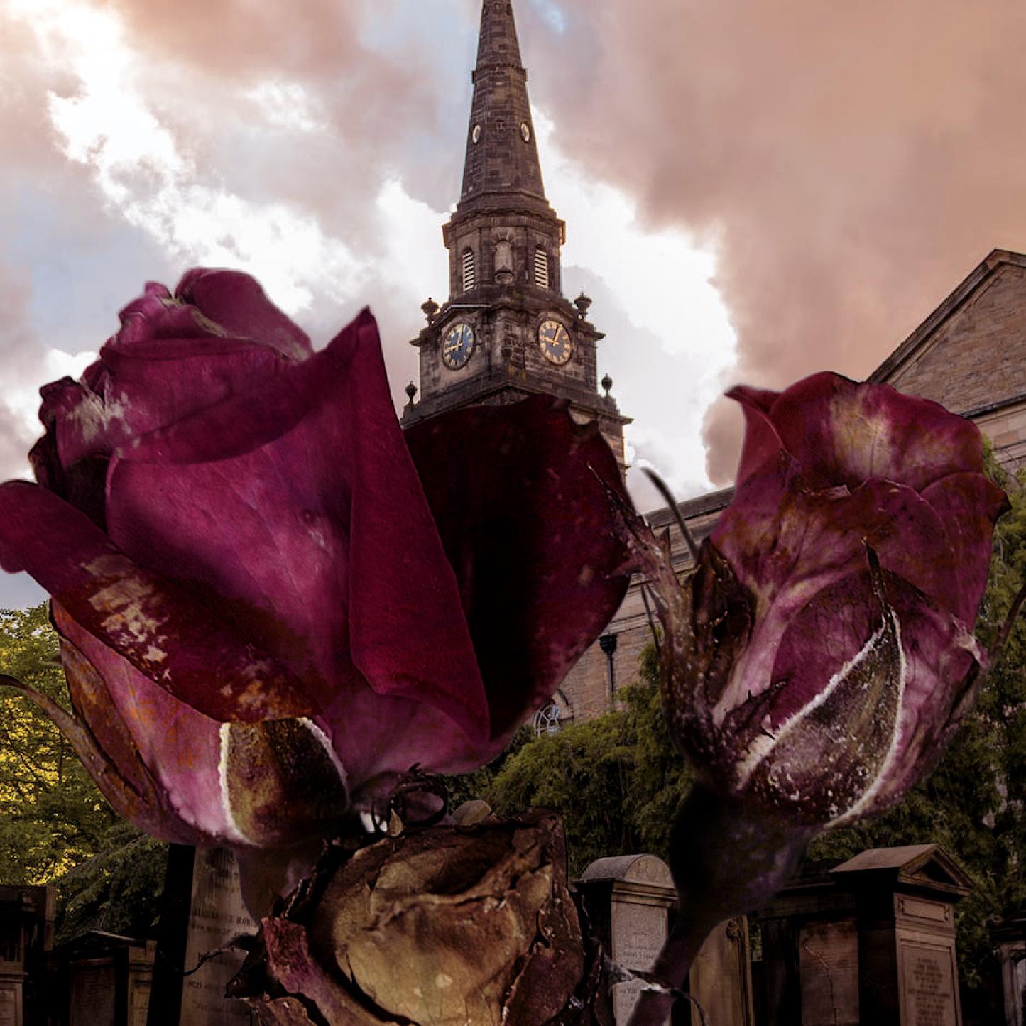 Tomb Bloom gothic floral dark rose scented wax melts and candles.